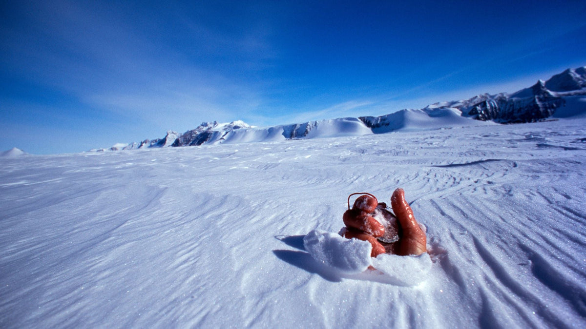 Antartica