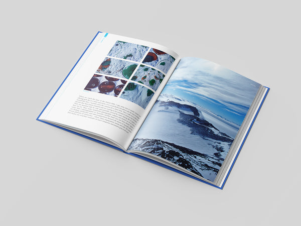Antarctica: A Different Adventure